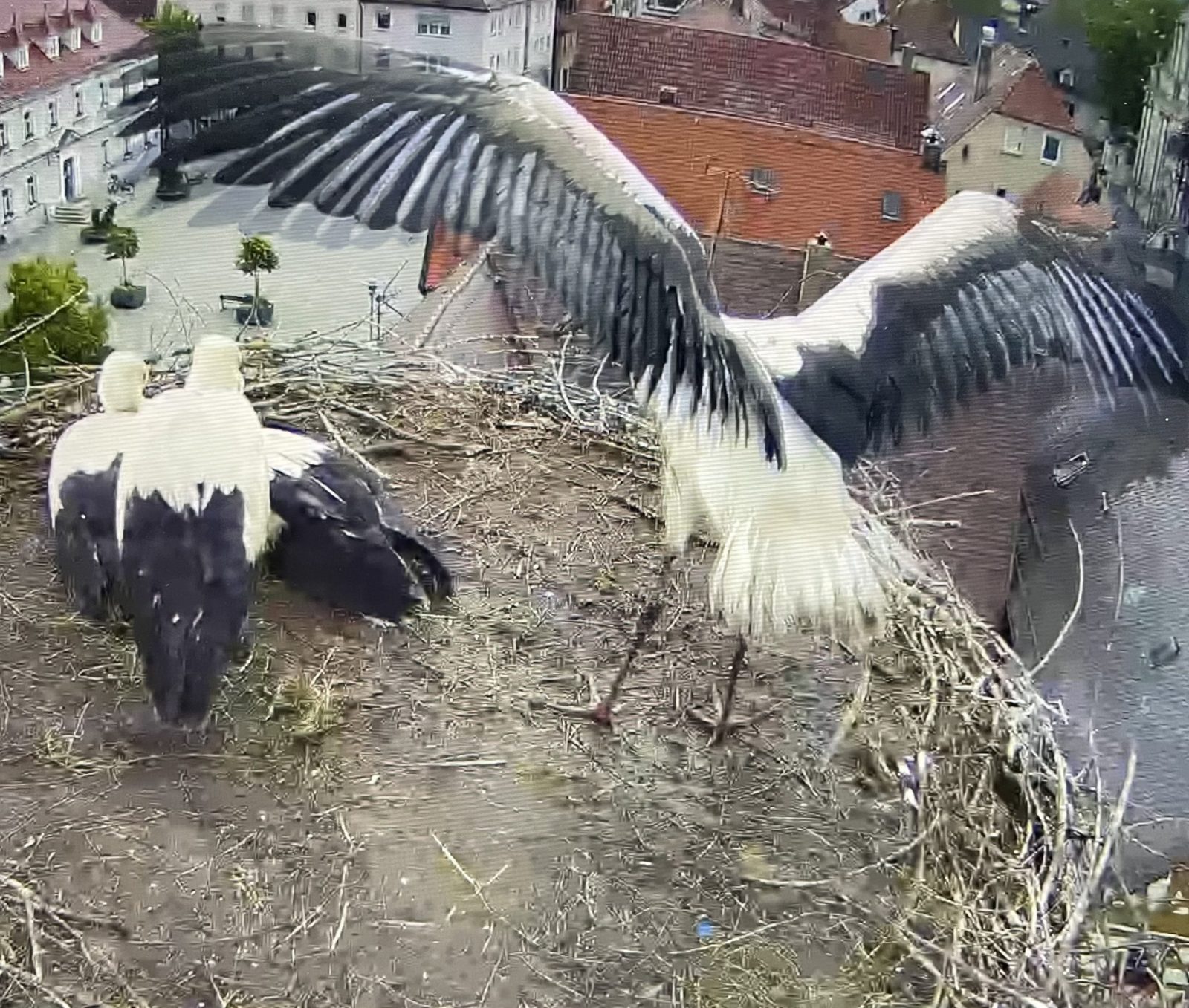 B4511F15-1DBD-4A78-9EA2-0DF1399B7FA8