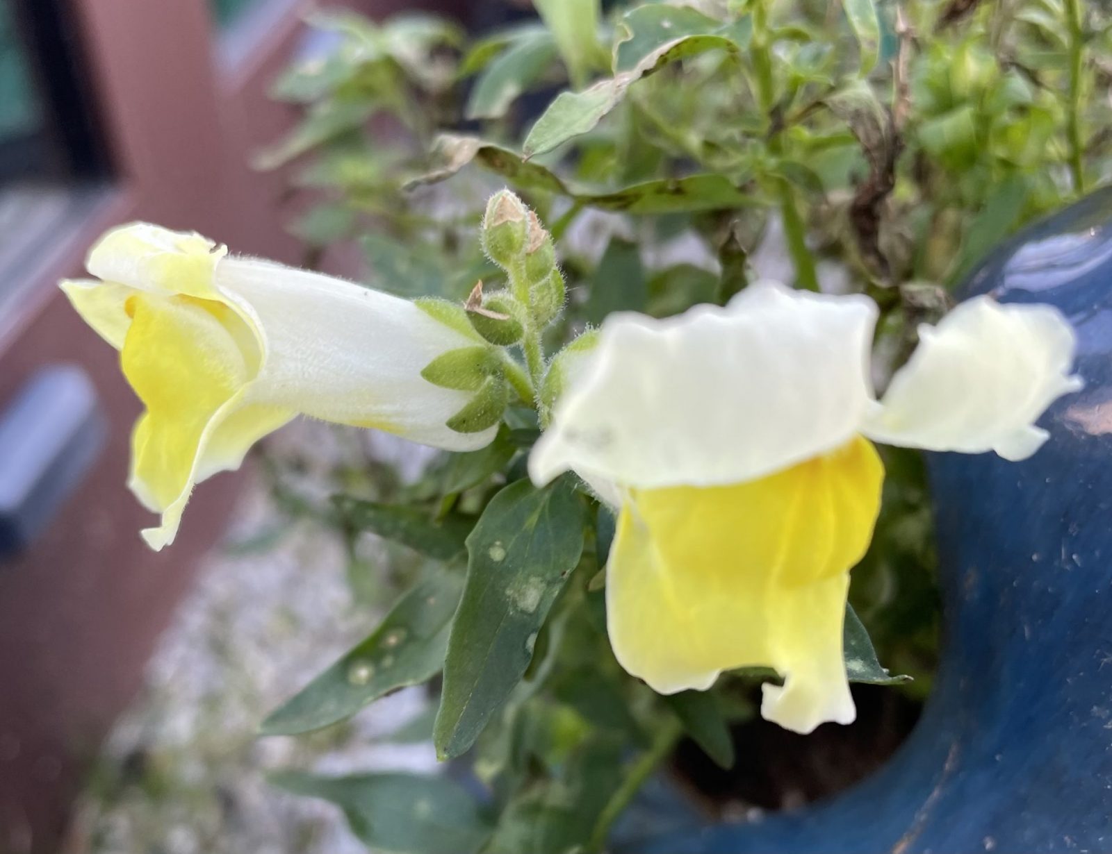 B4E3FA9E-A7DA-46C7-BBEC-CFA38EC0010E