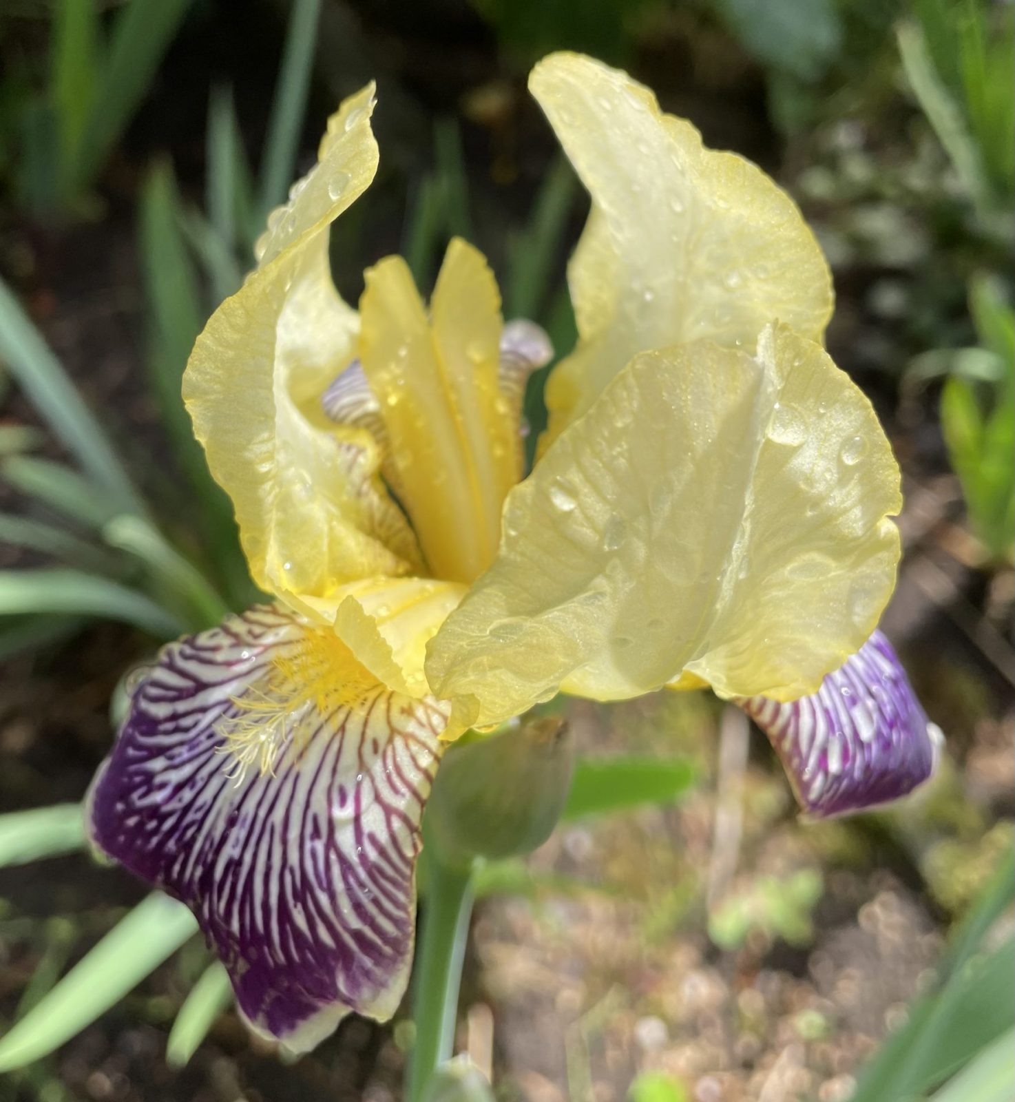 B5803472-F37B-4823-B768-8E0182B19FA9