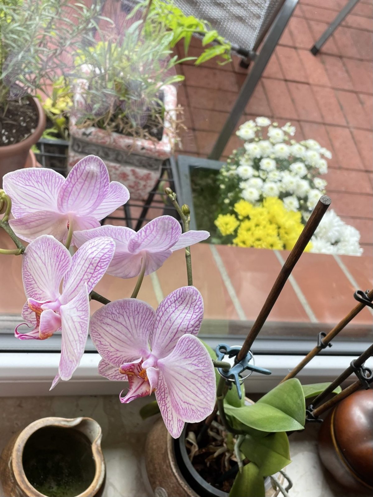 B5A2610A-B5F6-46A4-9A19-A6DE6BE72639