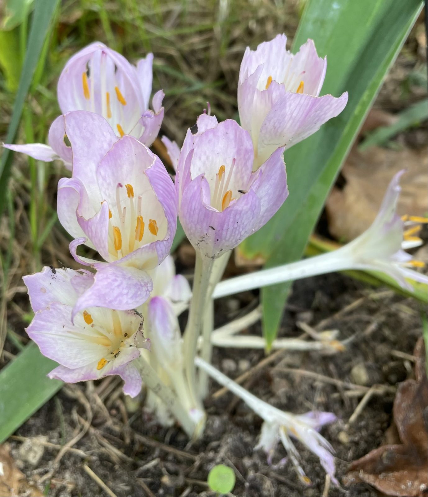 B5BAAAD7-77BE-4492-9987-B9399B99B05E