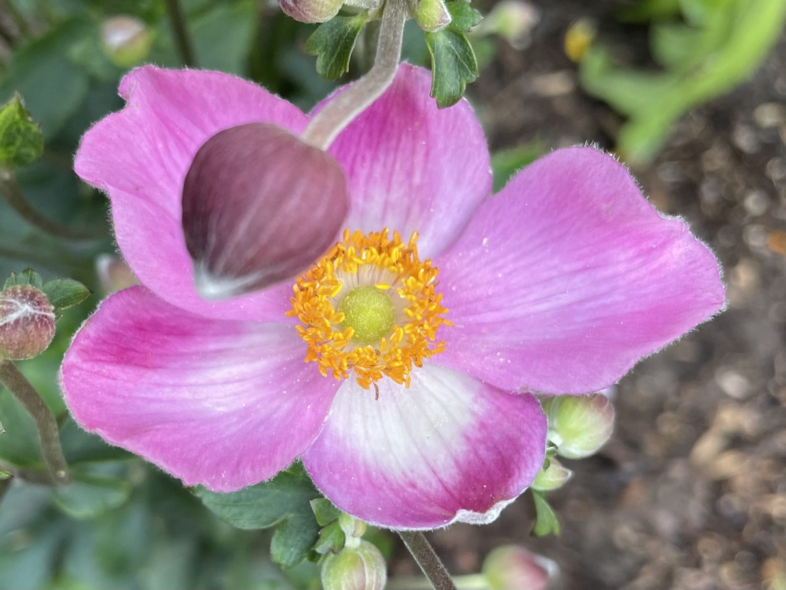 B5BDCF1D-35B8-4E34-9795-7F93CF457611