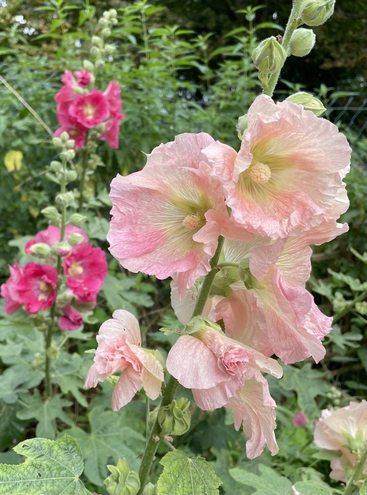 B5CE97BE-CF62-4A91-97AA-53363AD72383