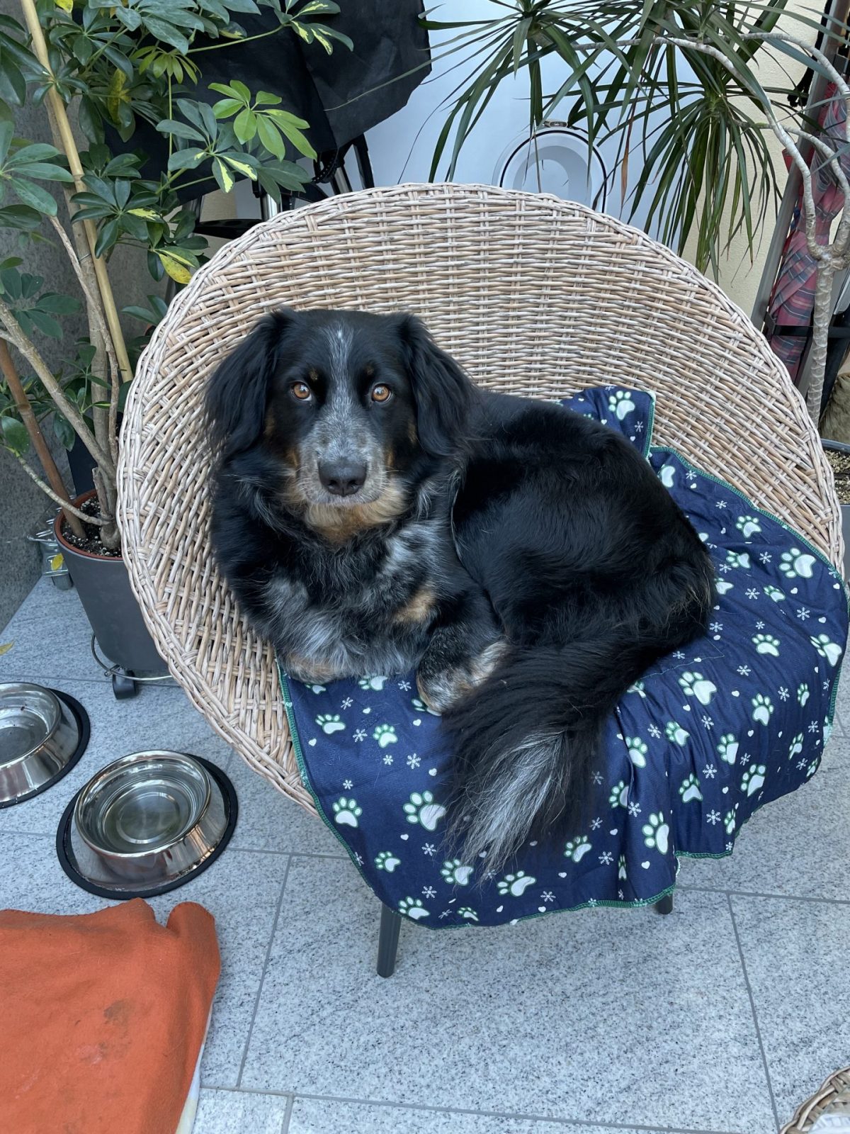 B6168372-B039-43C6-BD3D-B5FC9099AA6F