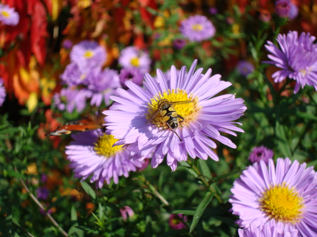 B649B379-14F1-4DB3-82E0-85239B272A30