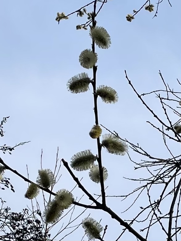 B64AA2A1-3C82-4298-8B6E-A14AFF71210B