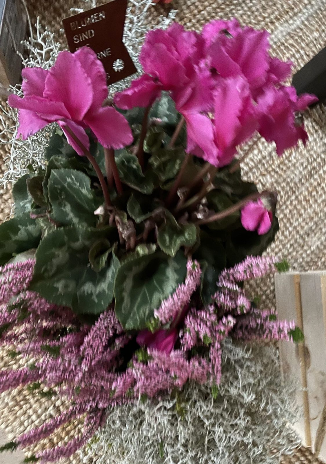 B6588327-D4A5-47F0-8B5B-7BD7E78FFA58