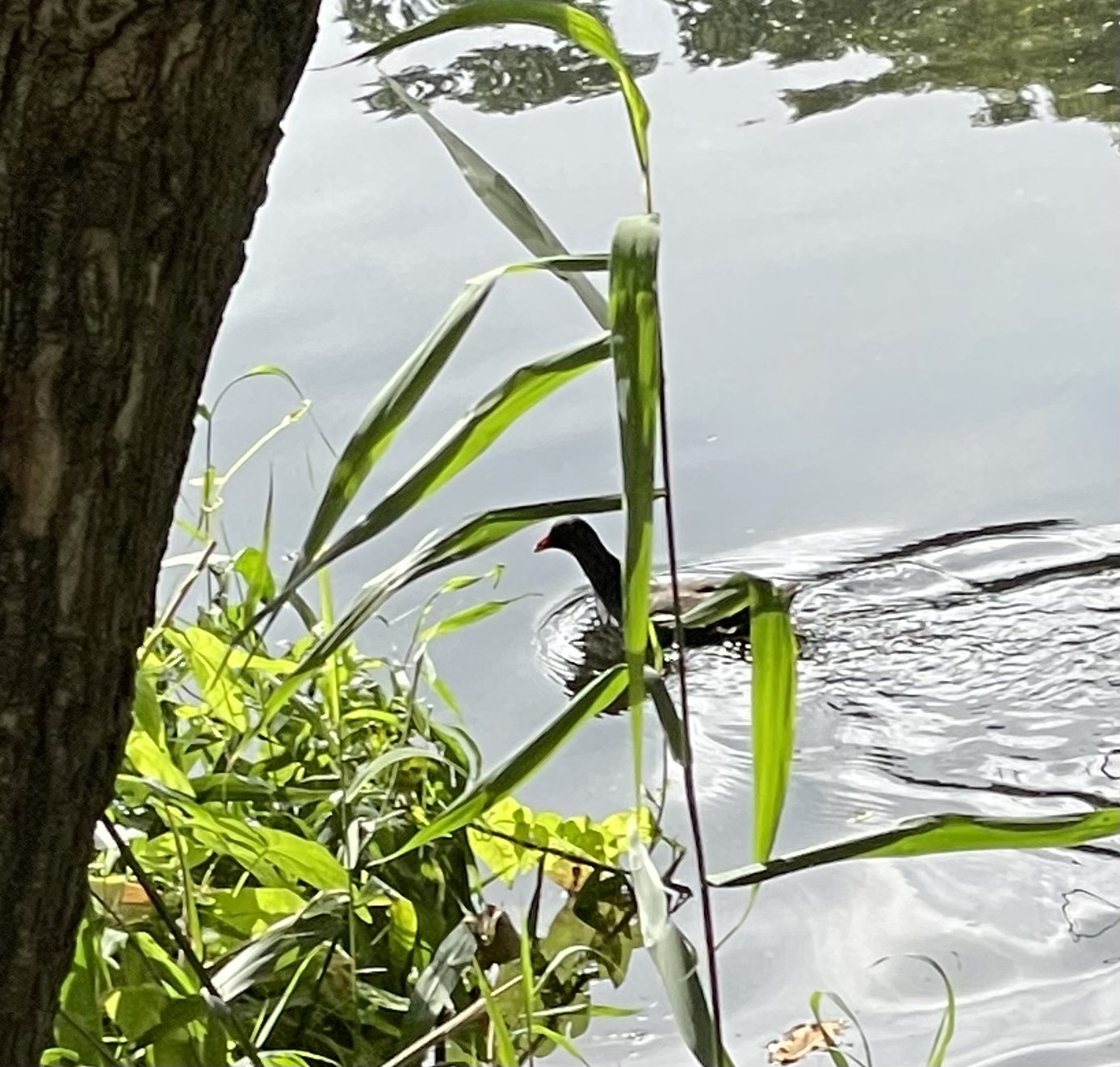 B66C765D-1B72-46E4-97D8-5258B6C10975