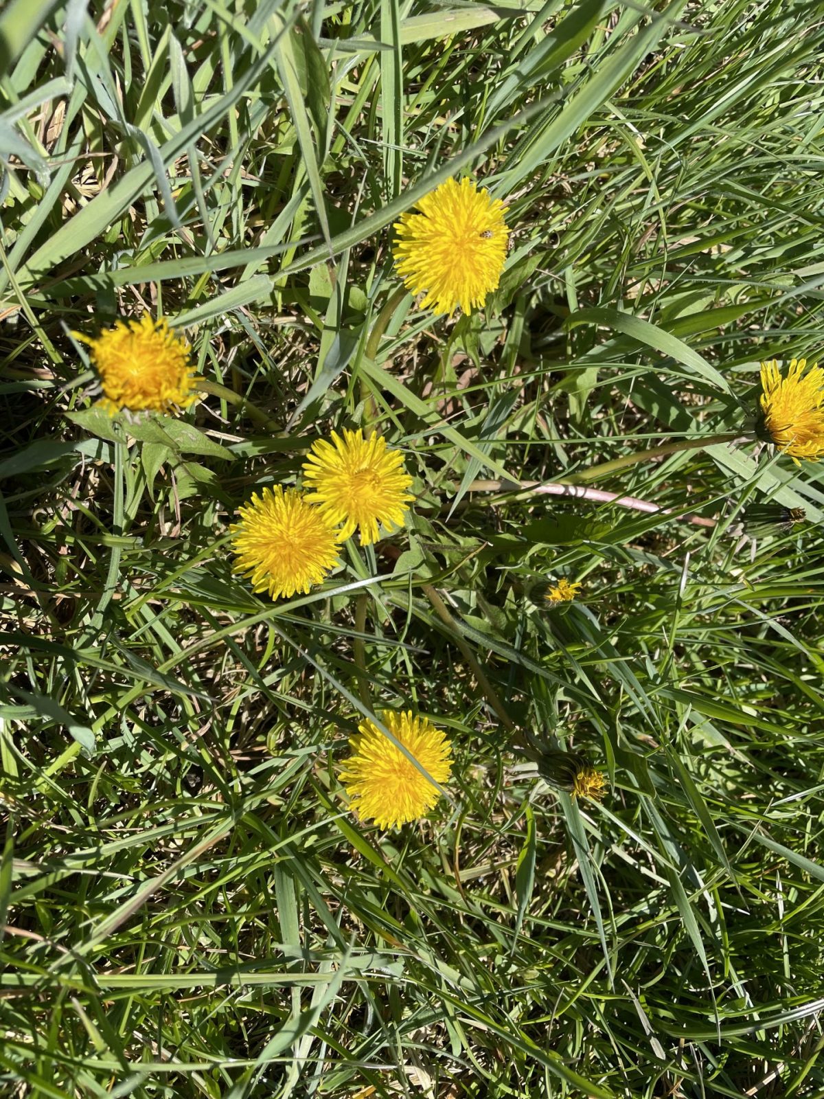 B6DCFED2-861F-42A5-9A0E-50D53B664012