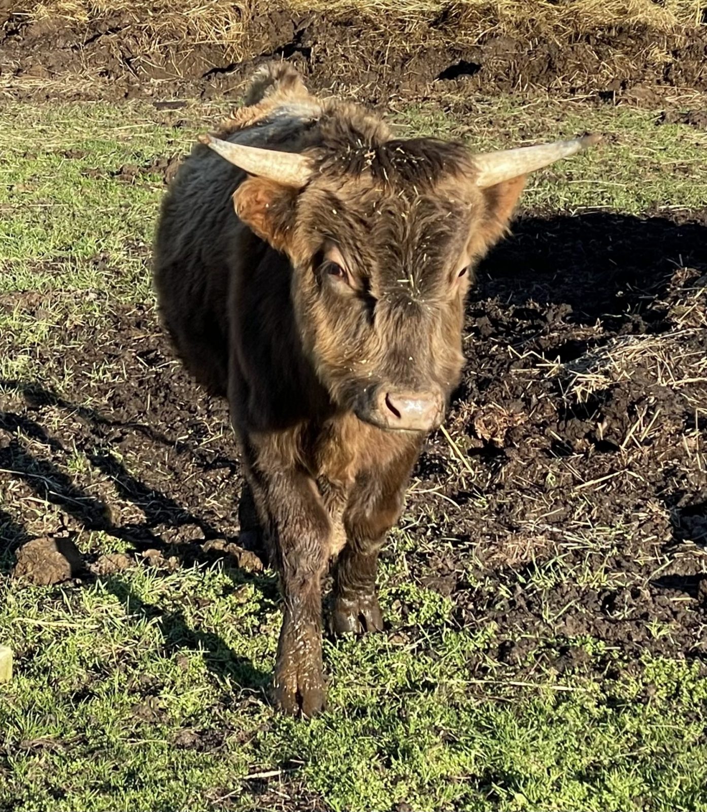 B712CFF0-FD5A-4E52-B0FA-613D5E62C0A2