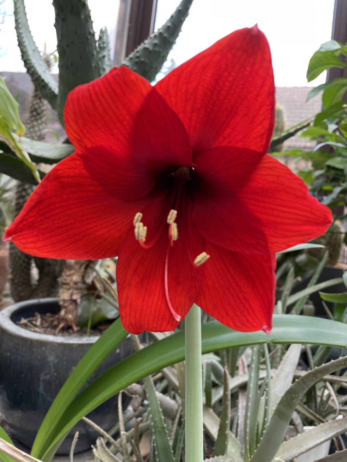 B7C7D62E-51B1-4C67-9894-B072EBD86111