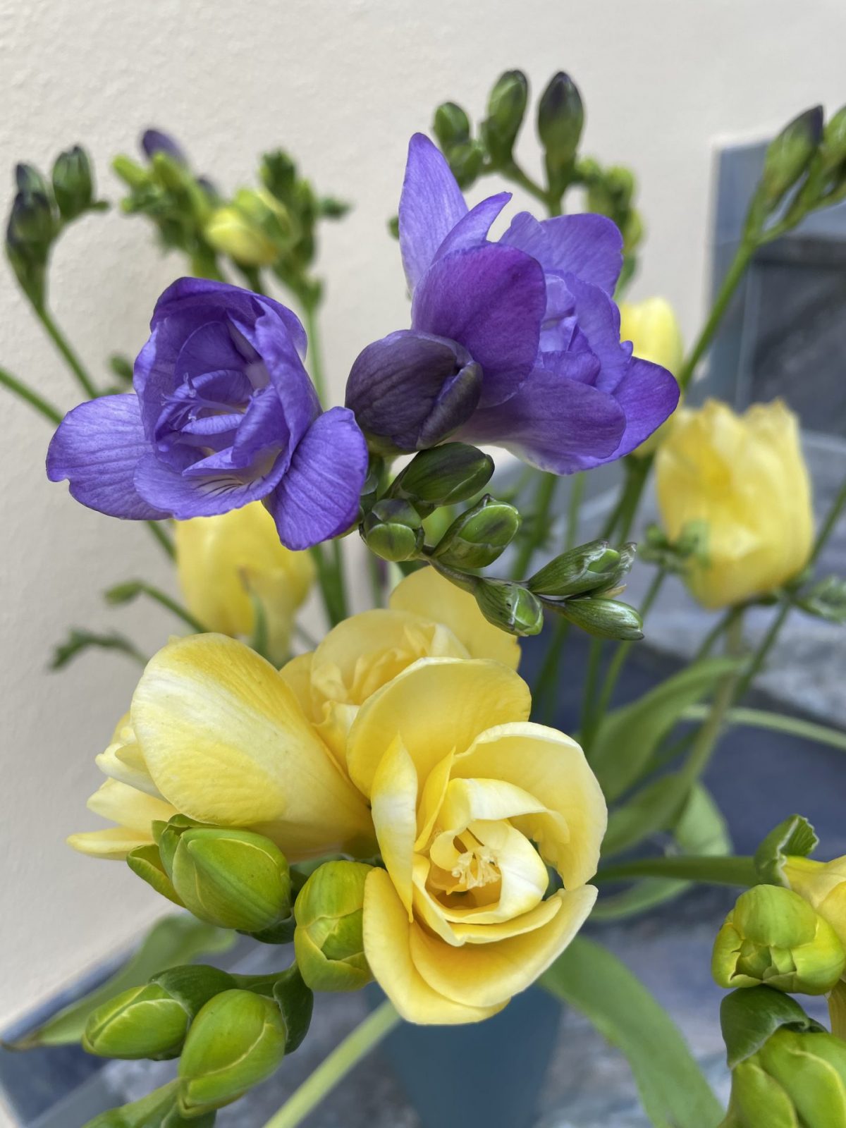 B7DBA167-F94C-49B9-832B-EE1A8B382F89