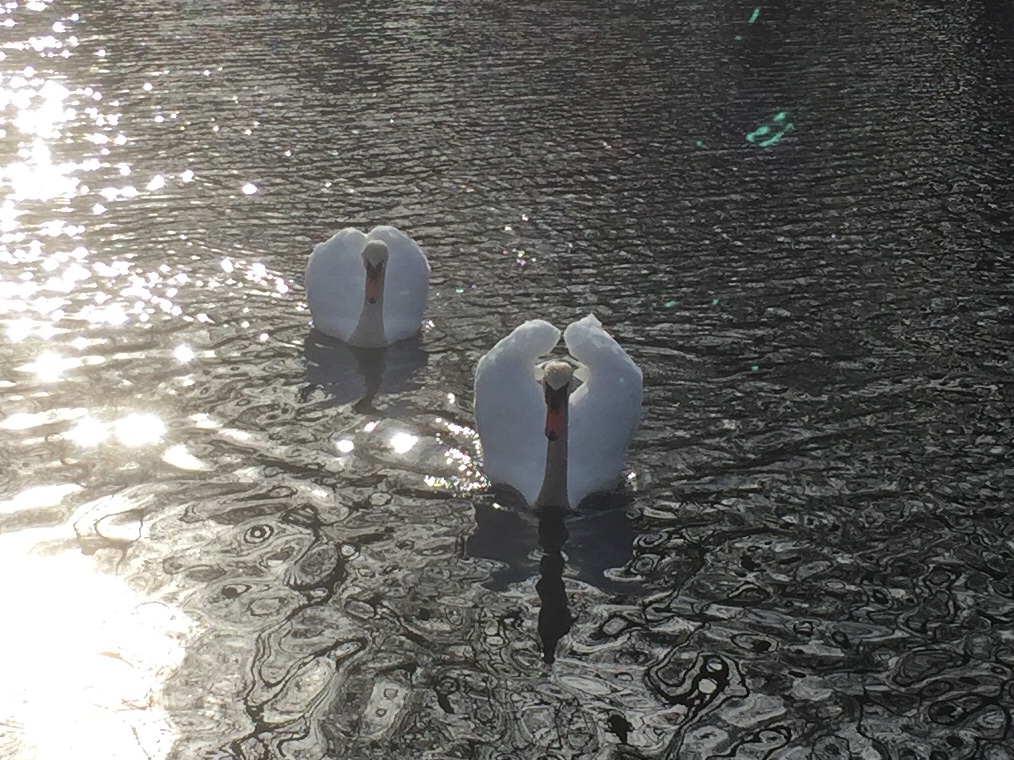 B8208AFA-CF55-4FEB-9A67-78AB6F36A509