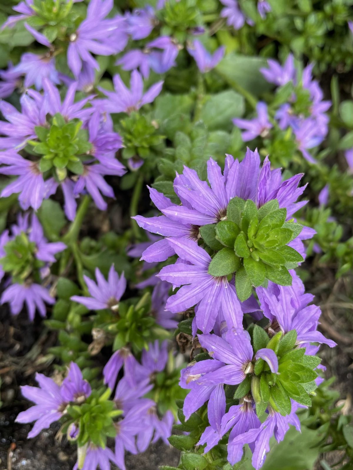 B827209A-697D-432A-A56D-700E352F5649