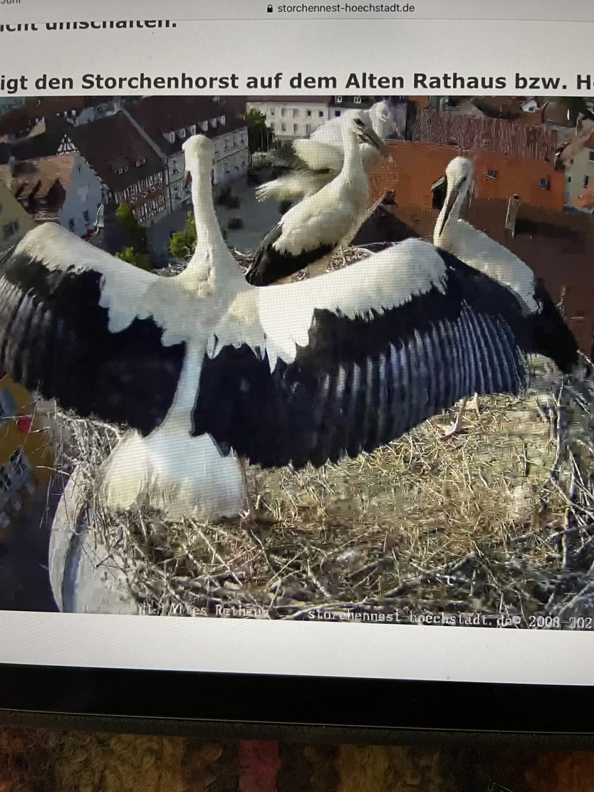 B8470A1B-64BC-436A-AD8F-0536037EBBCF