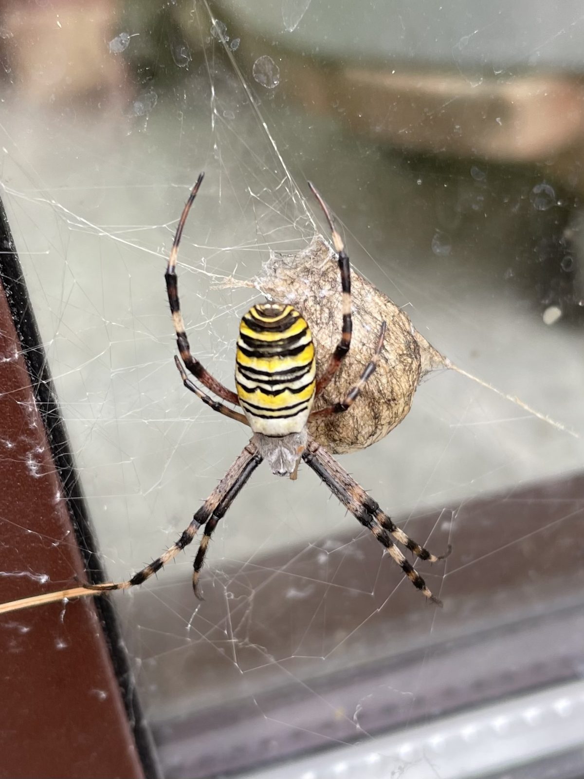 B895373C-161E-46A1-9A82-A2F0377DB405