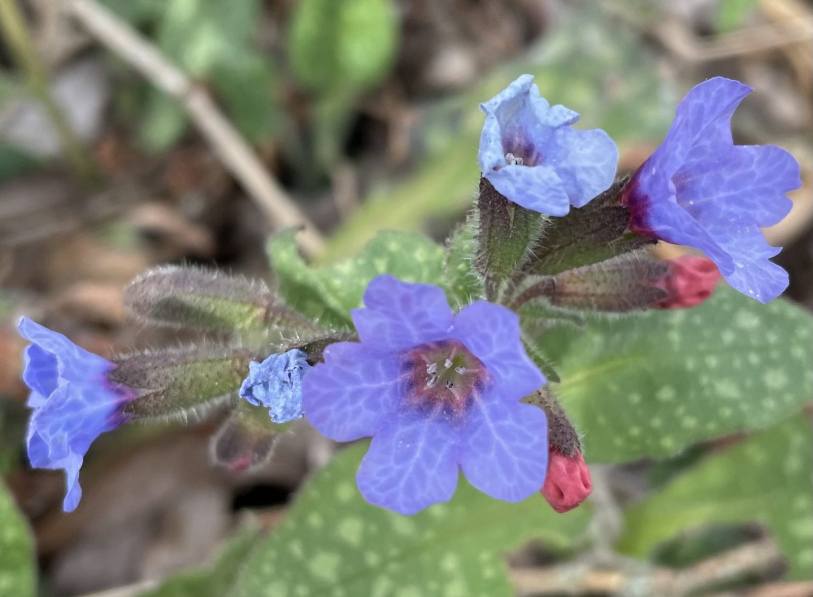 B8E9C0BC-C3D1-4F91-BCD6-F35B100BB7FA