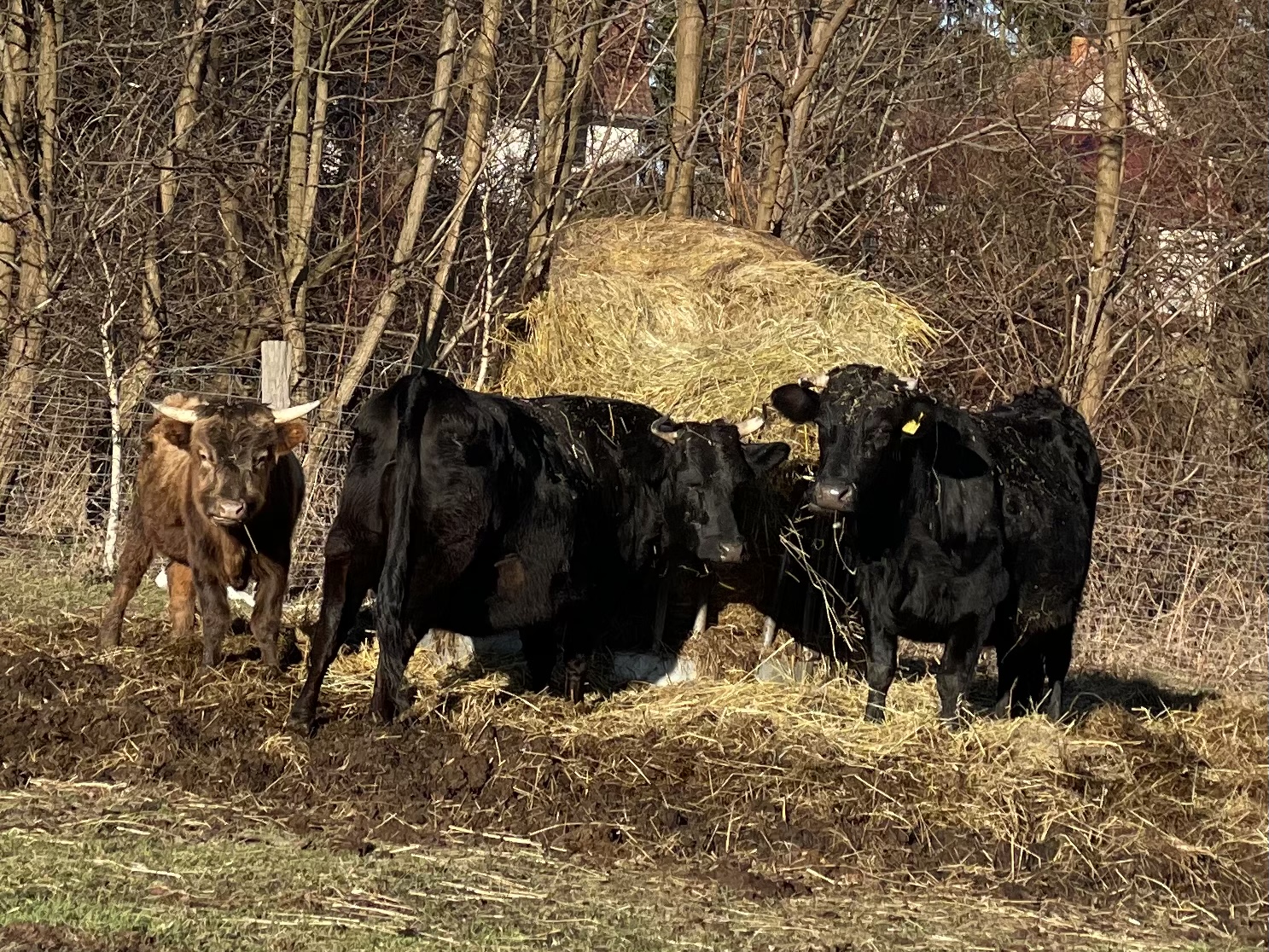 B8EFA395-7BDE-4DFE-BF22-6125EBABC6A8