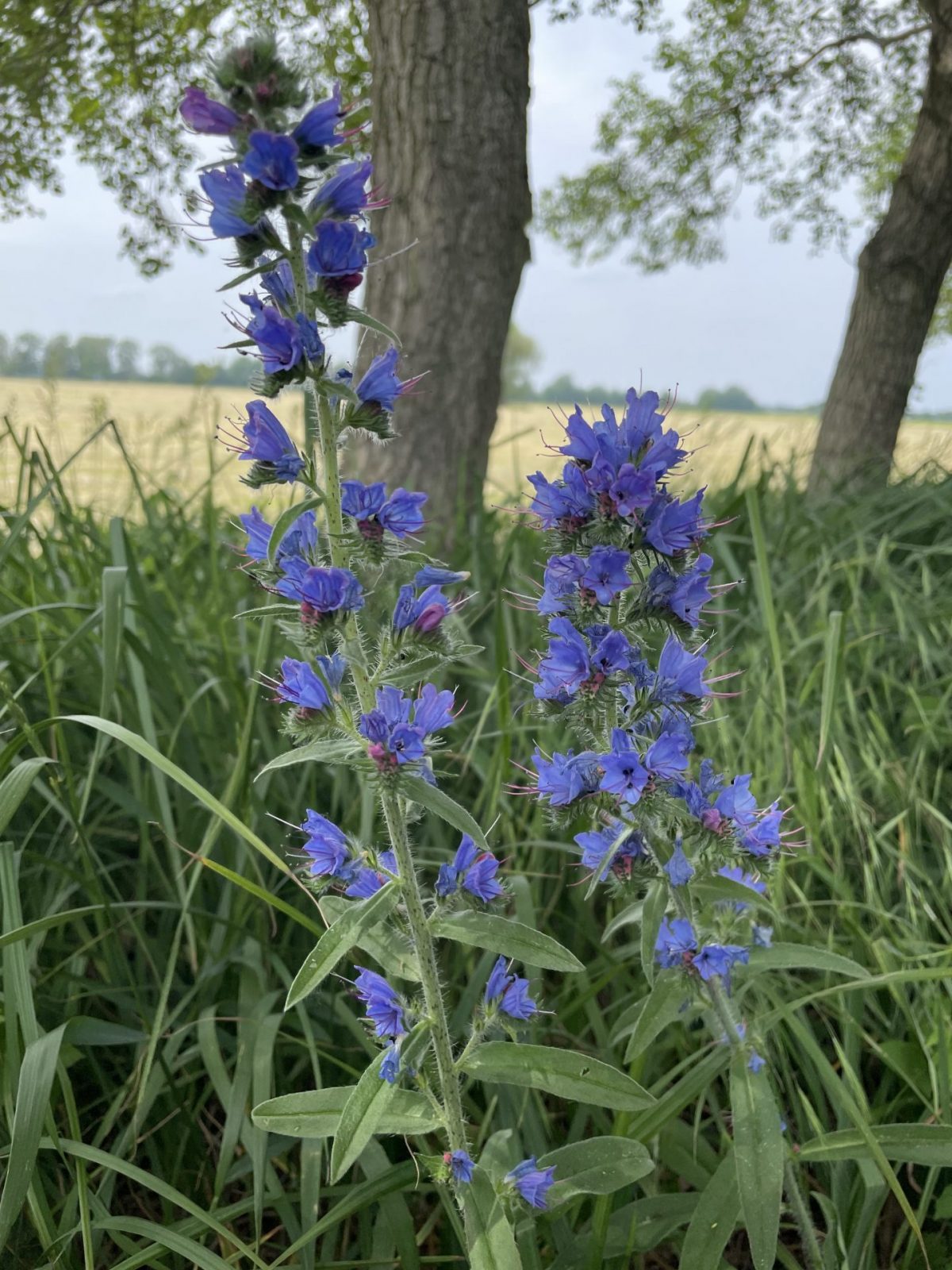 B987707E-0E19-427E-A24E-7E46E83384C0