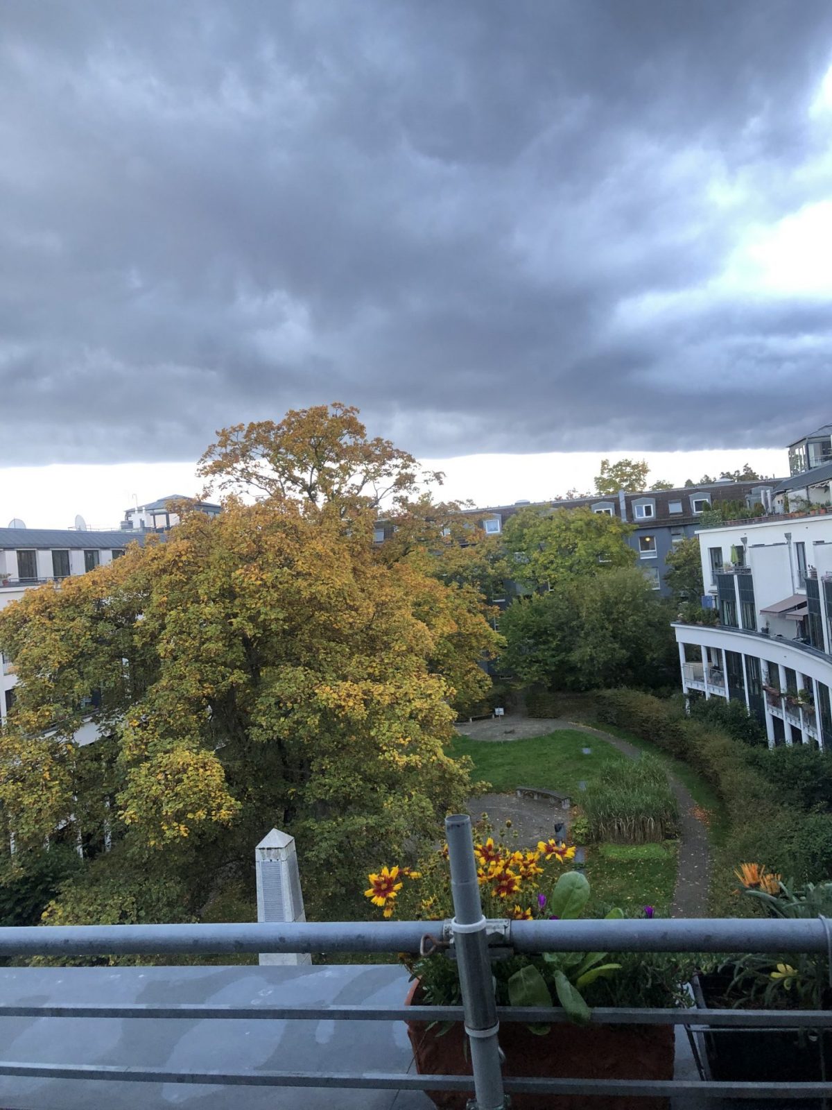 BA06C710-11F0-42D3-B5F8-E168386F6734