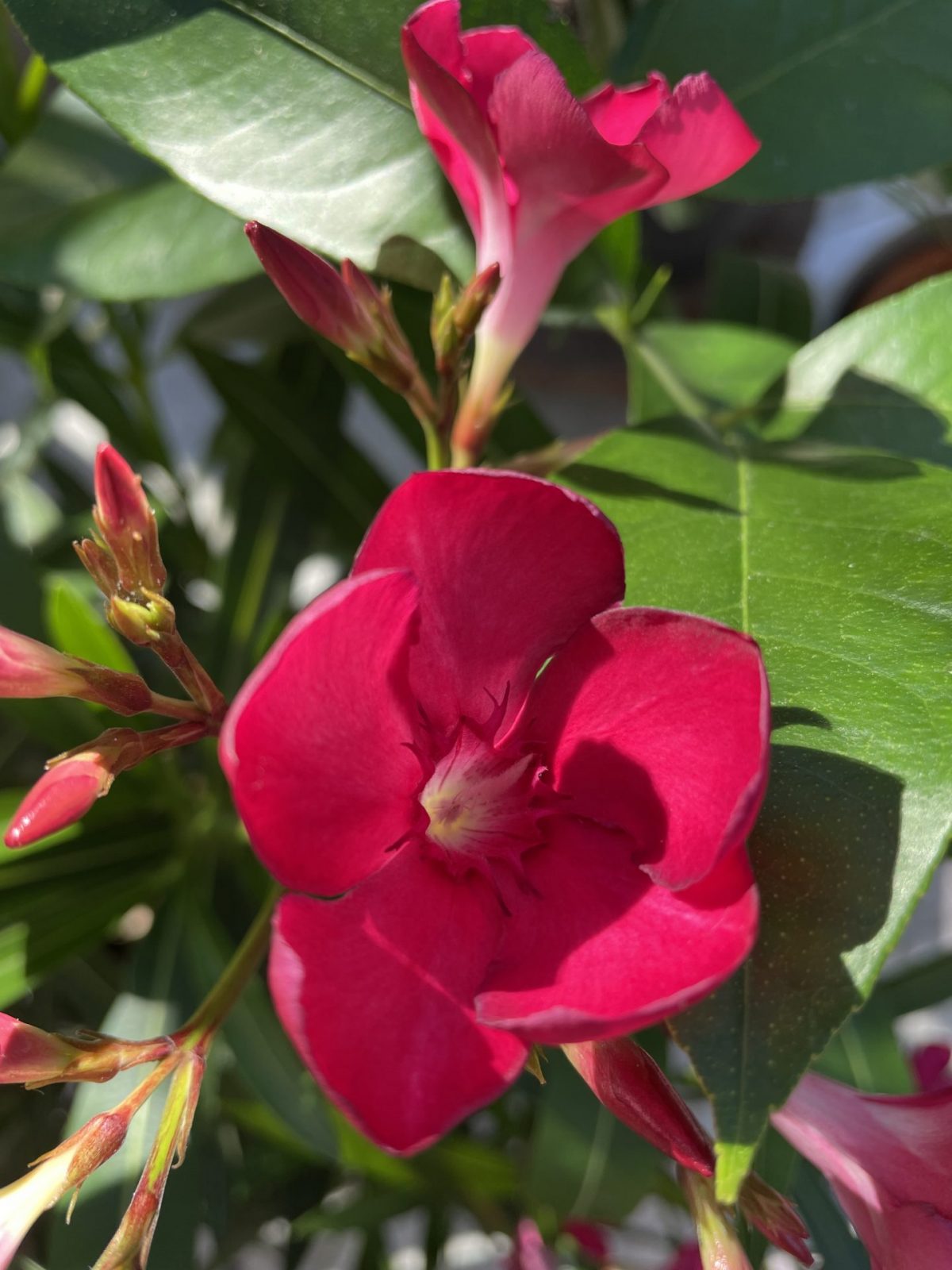 BA226328-03F6-46A3-8C60-7905EBF45919