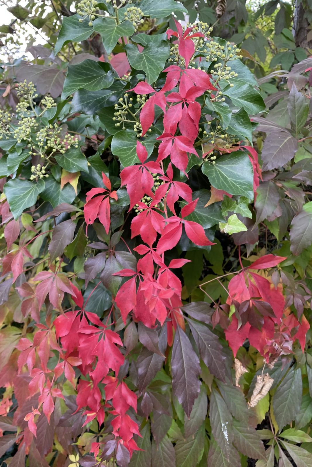 BA4227E9-83E0-42A6-B13B-72F2AC1E5511