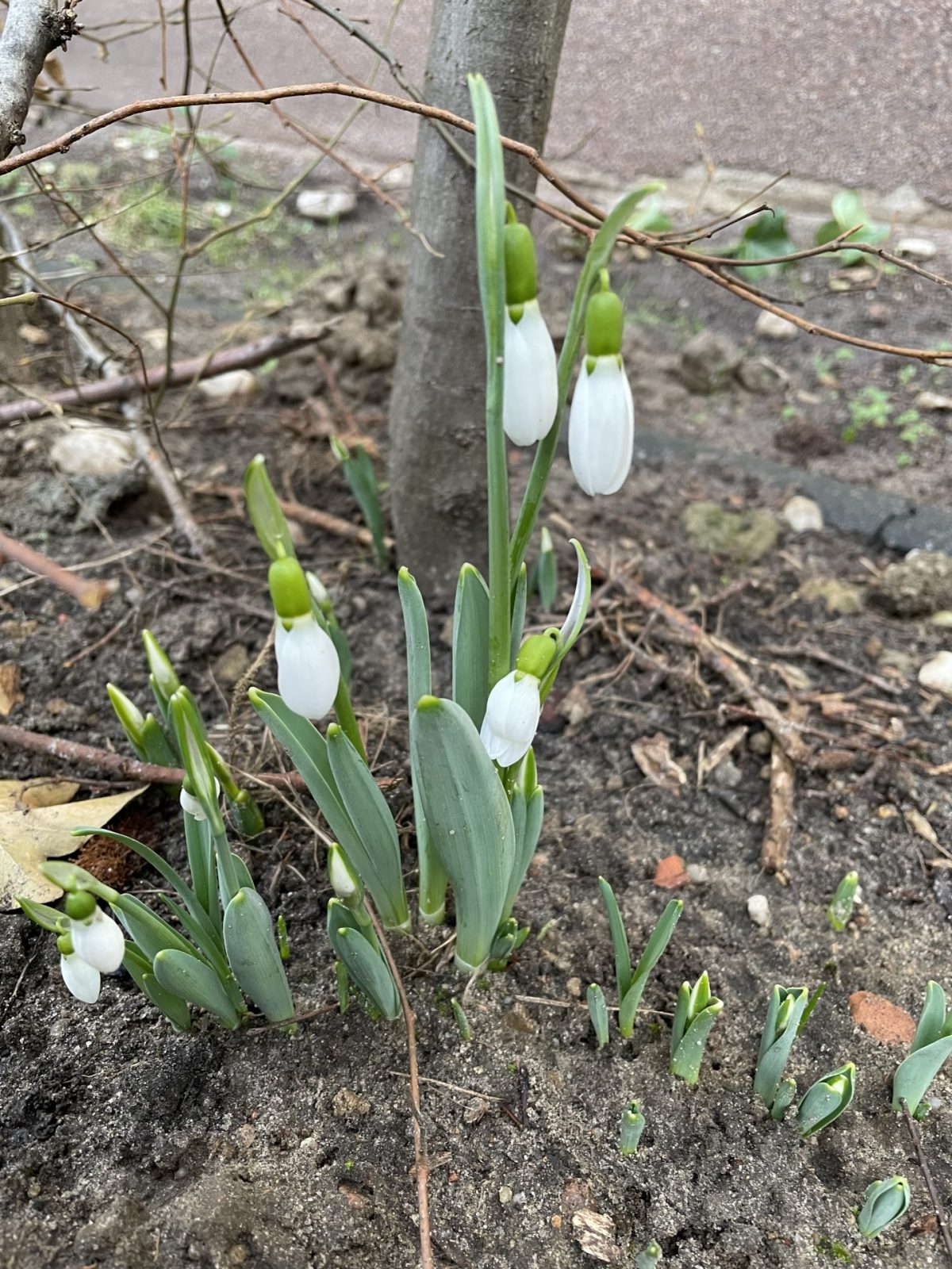 BA55E32D-44A7-4C1A-AC16-672CFE6075C2