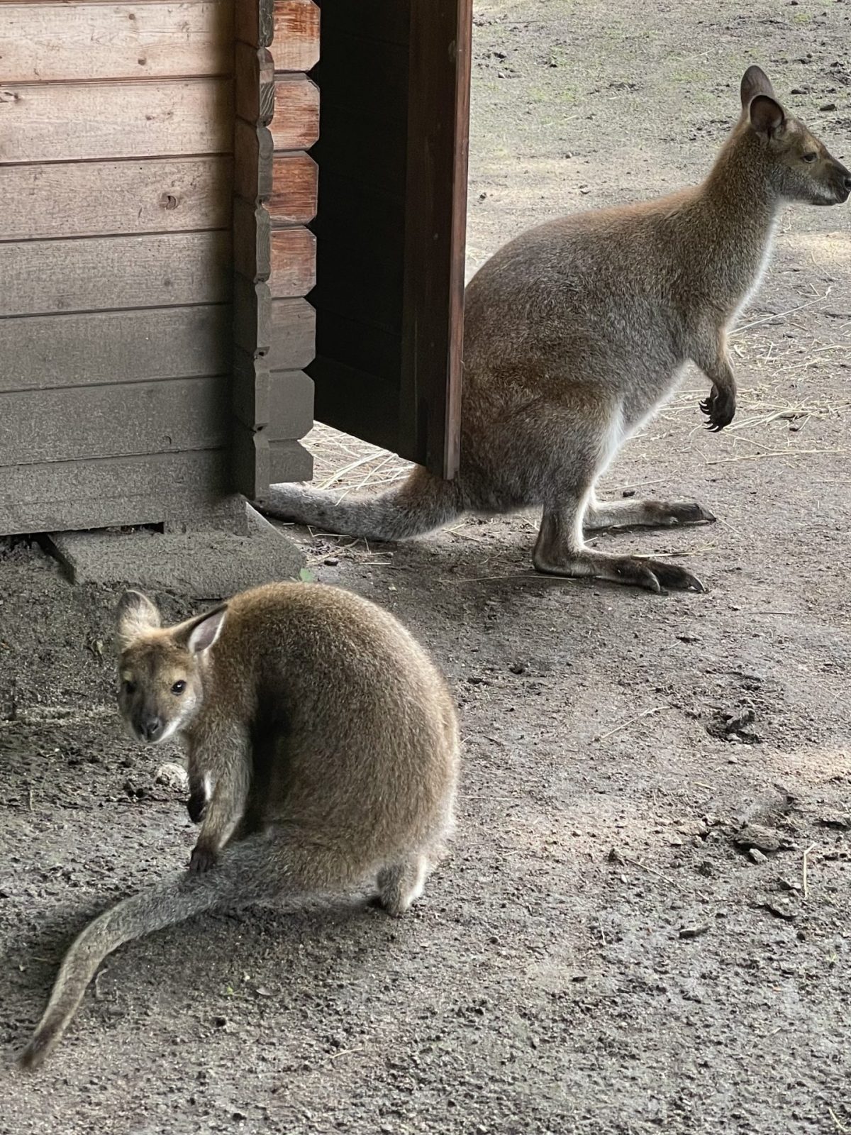 BA60C528-007C-41FD-8467-D59265AB8BC5