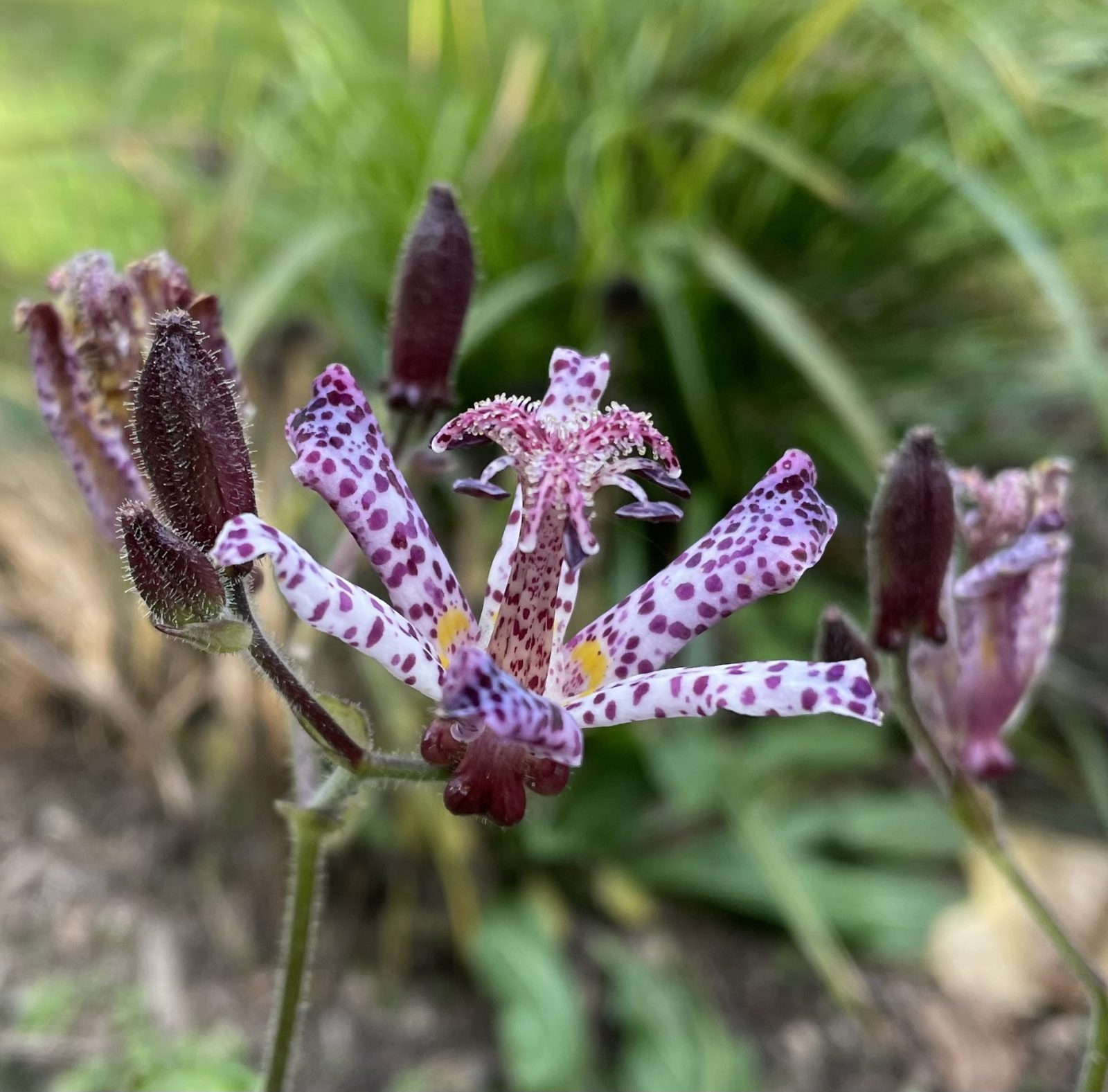 BA6E4CB7-DCC1-41BE-AA64-229E7D60DB27