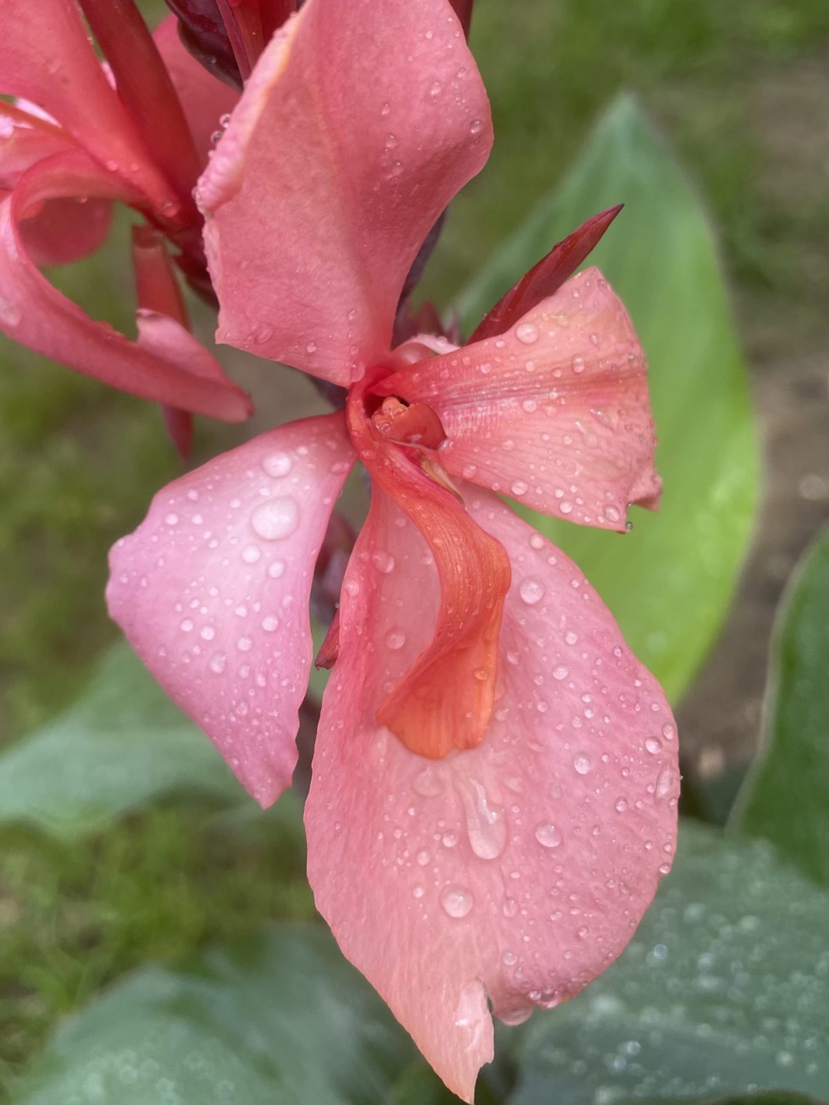 BAA65EFE-A6B9-4BB7-A9E6-794DD29A6621