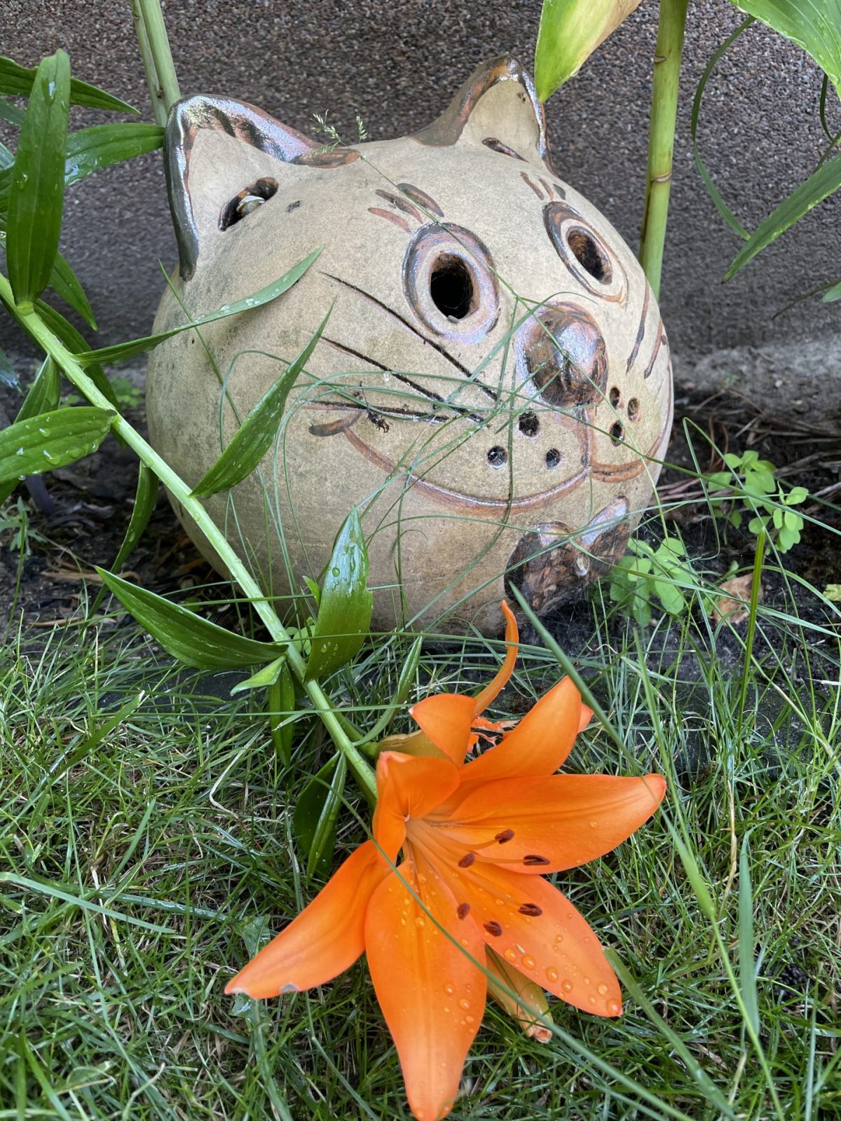 BAD09D1C-0B2B-43B3-A85E-3790CD05C5A3