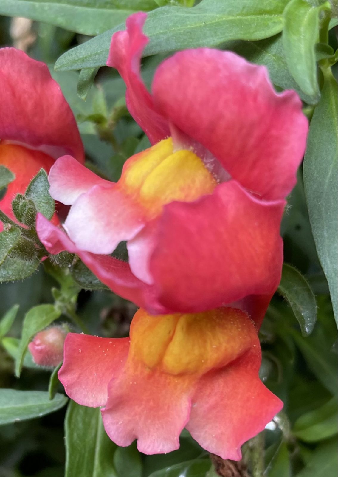 BAD23FB3-5DF8-4000-B256-DB4B913CEEC9