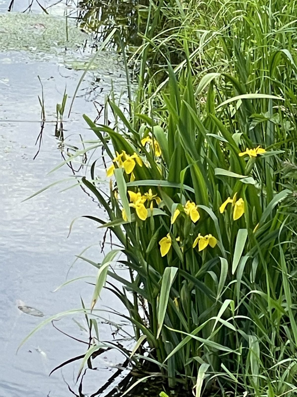 BAE6B52C-4F43-46A8-AF89-B746846FC8E5