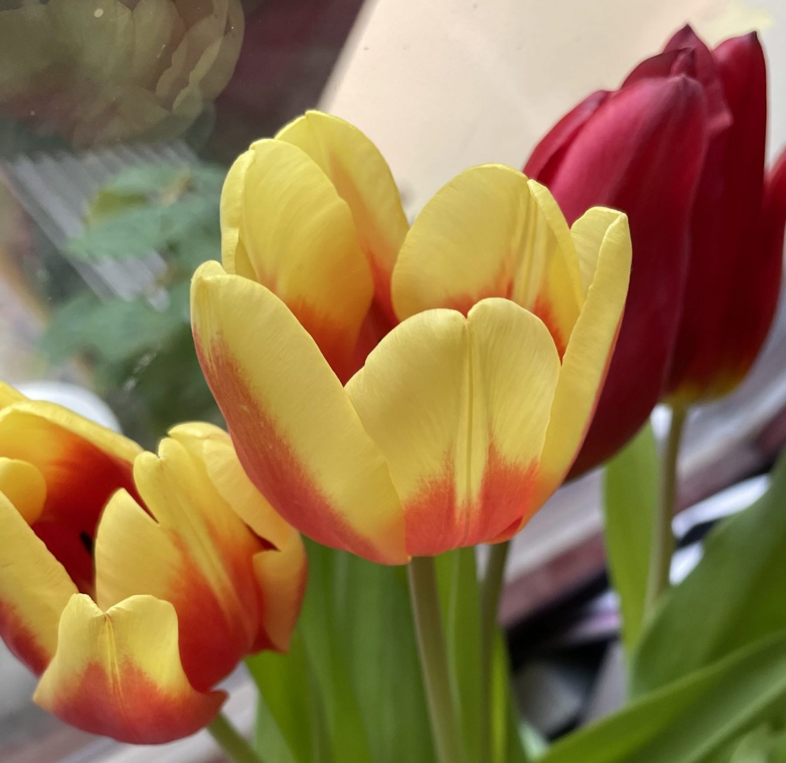 BB43538A-D386-440C-ADE4-38E4E74F4F8B