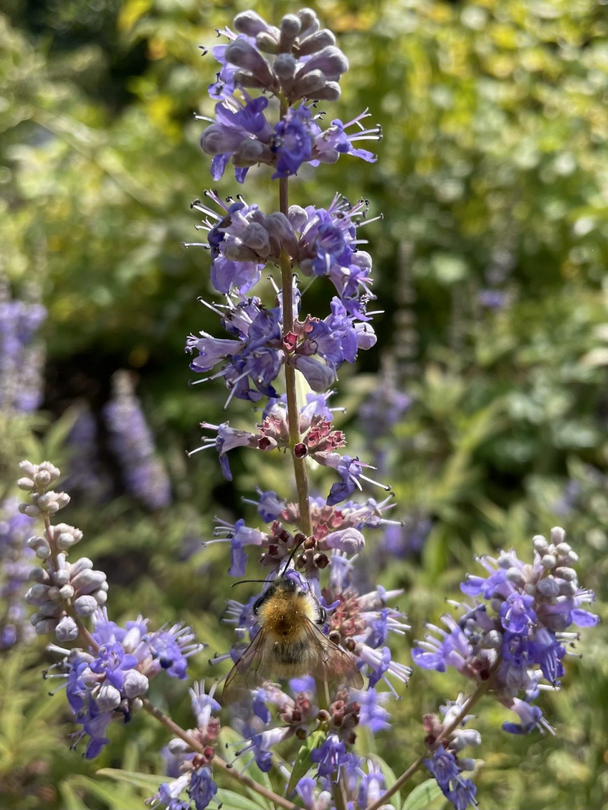 BB437C79-173B-46AC-B3A1-1829CE131435