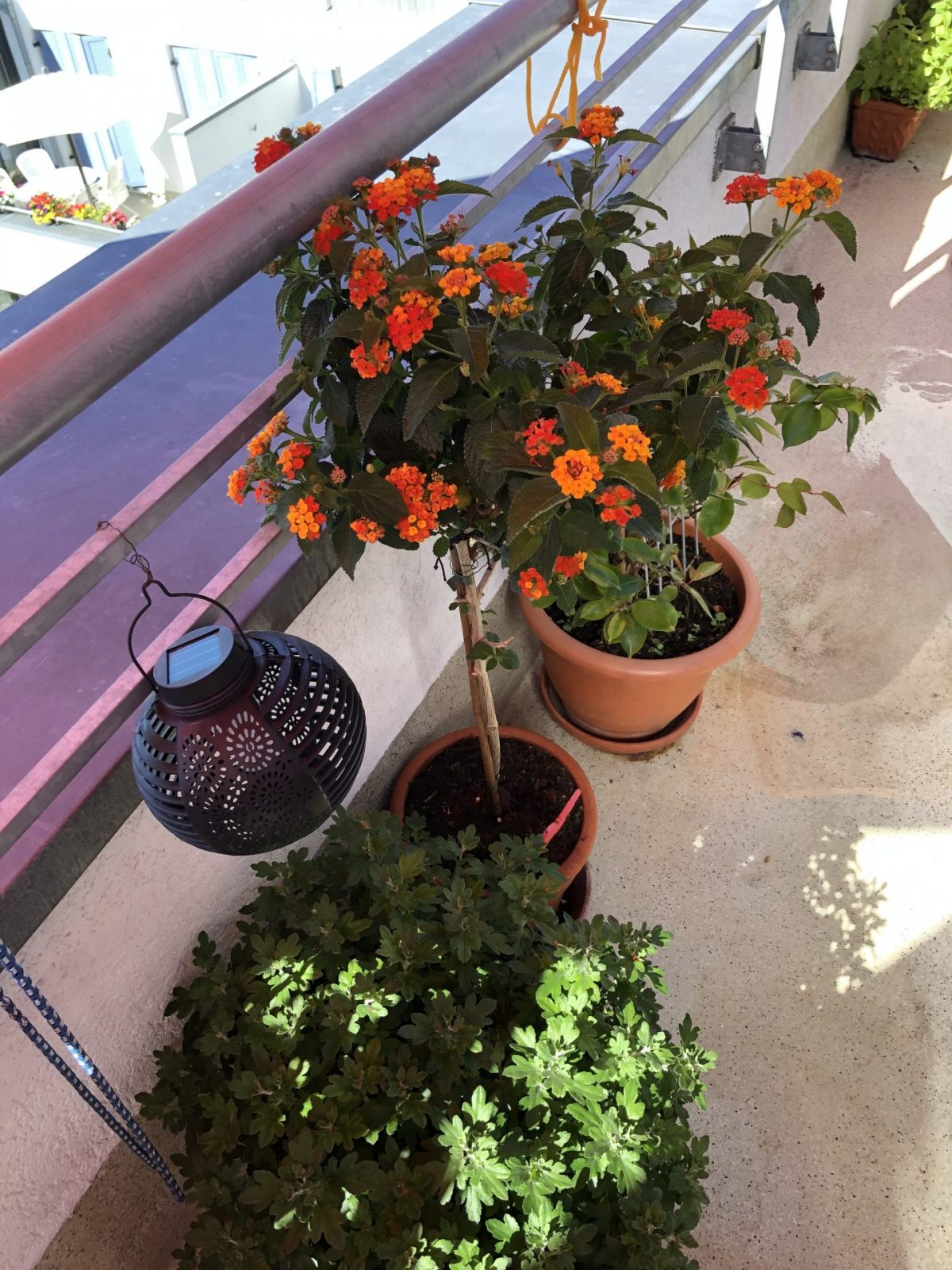 BB60750C-0FF0-4517-9409-F28A9F82747E