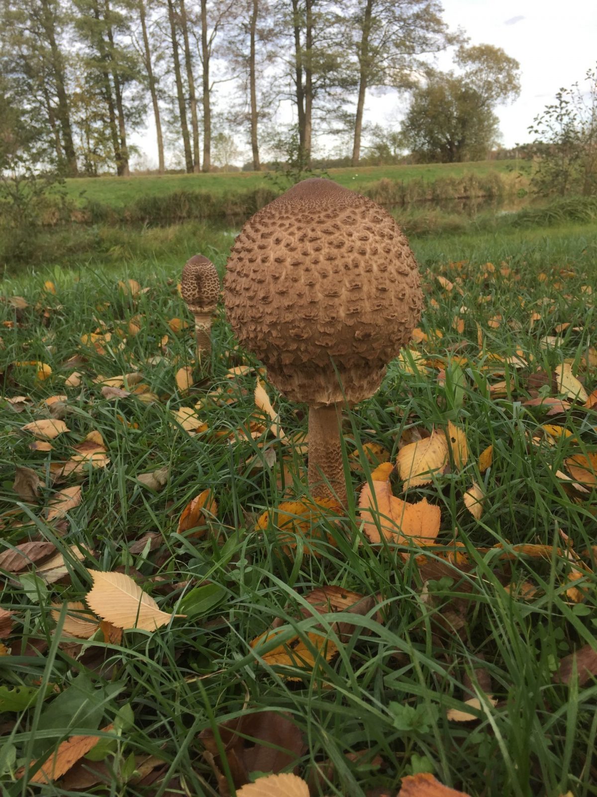 BB75F248-3436-4756-81A3-8EFE09673E7B