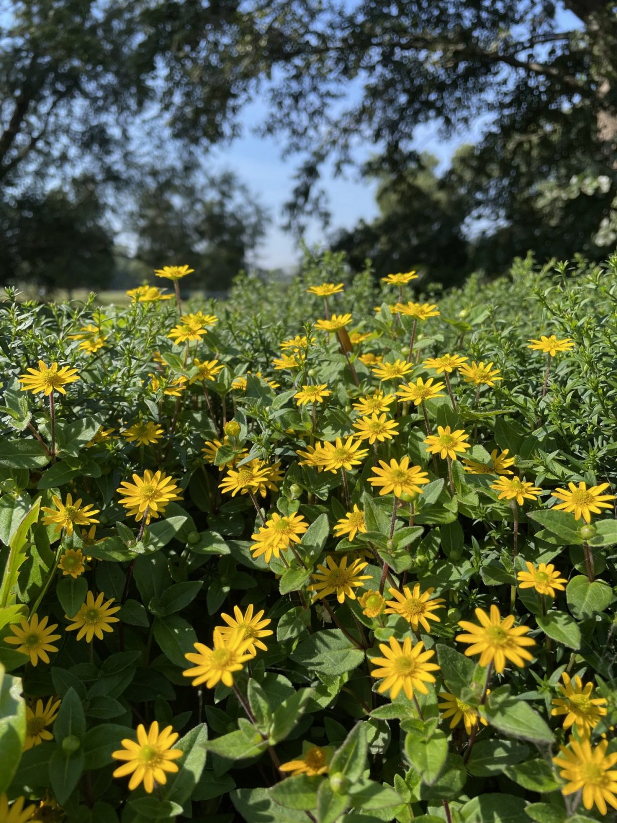 BBE92D98-1622-48A2-97CD-9BEE172064DF