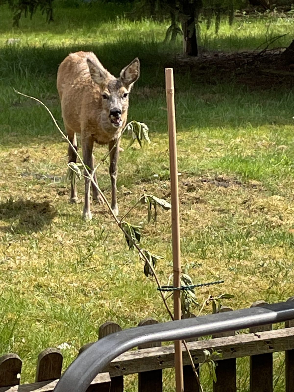 BC1DE5D7-3383-4552-B24F-8CA90961EE38