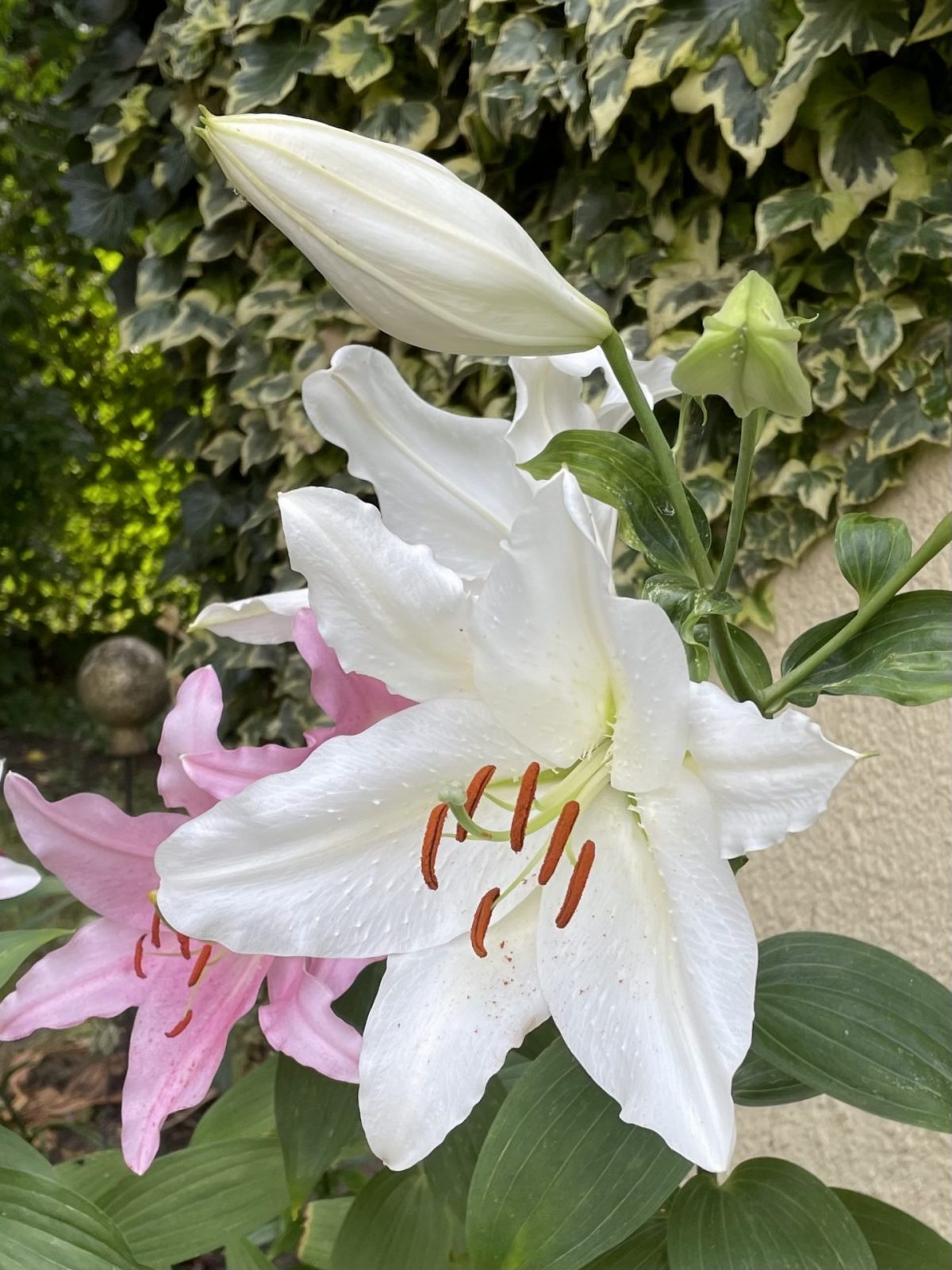 BC4779E9-016E-4318-8B17-D030C36633C1