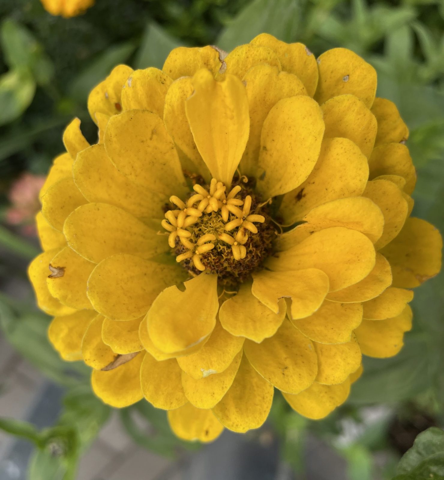 BC9A1B95-0EC1-4EE0-82EF-F128AB6B2B0D