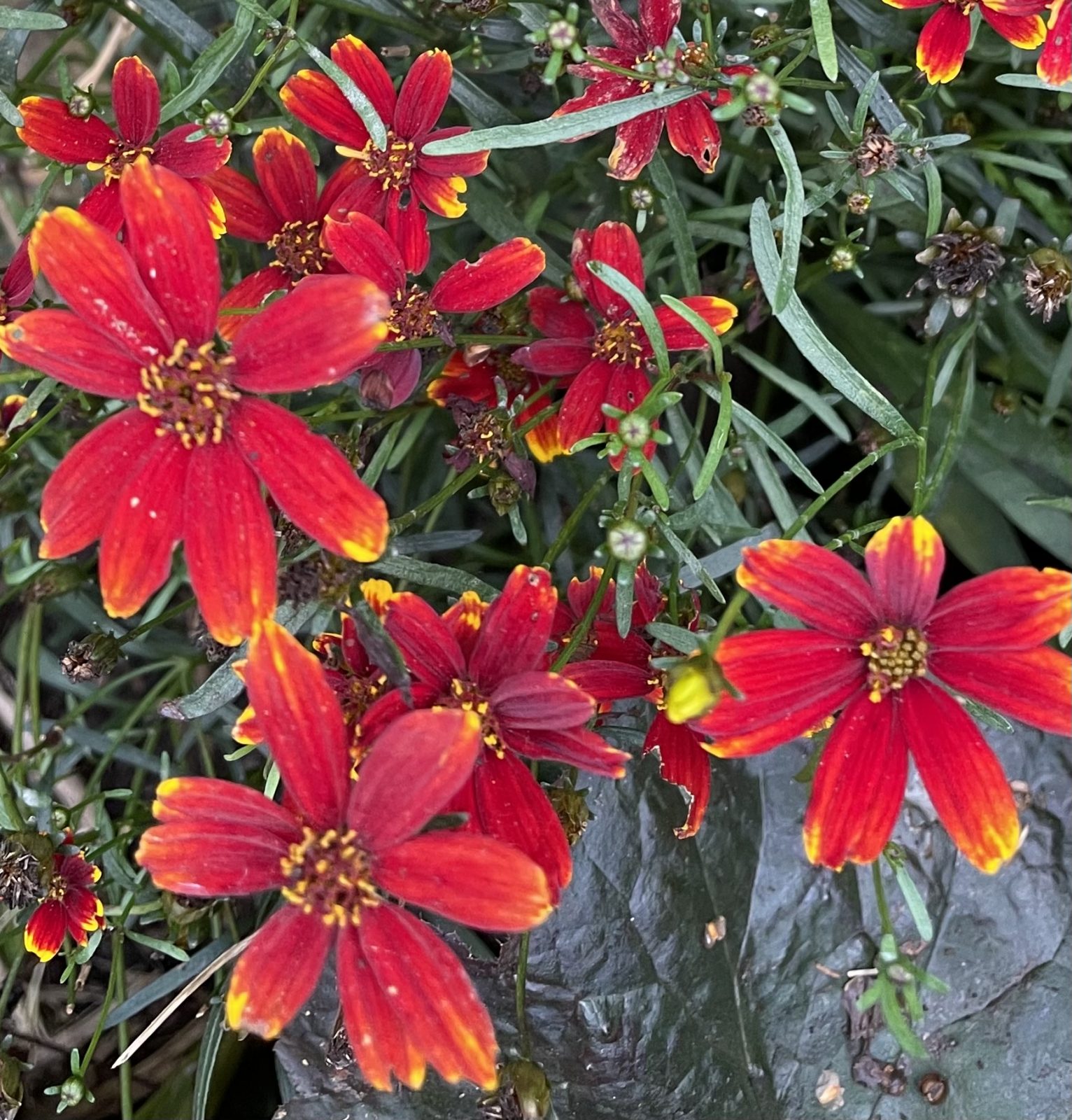 BCB98DDE-E0FE-4ED9-A6D7-CF24AF8AA4AD