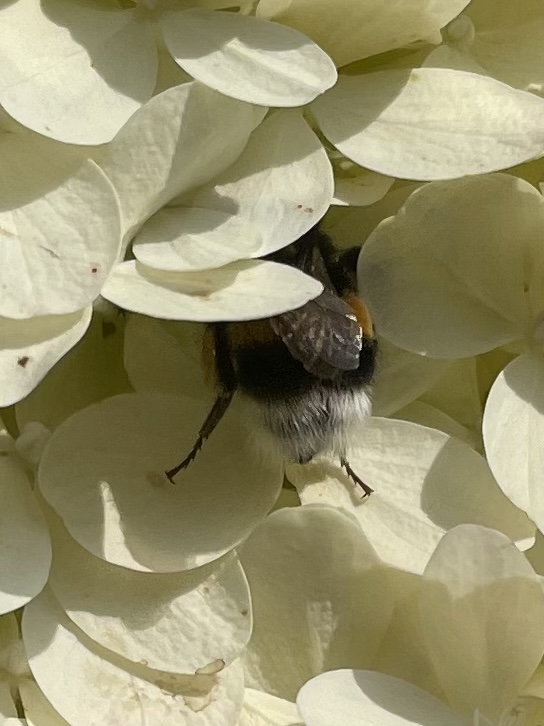 BD01C7DA-C56B-40FF-BCA1-0F649343DAFF