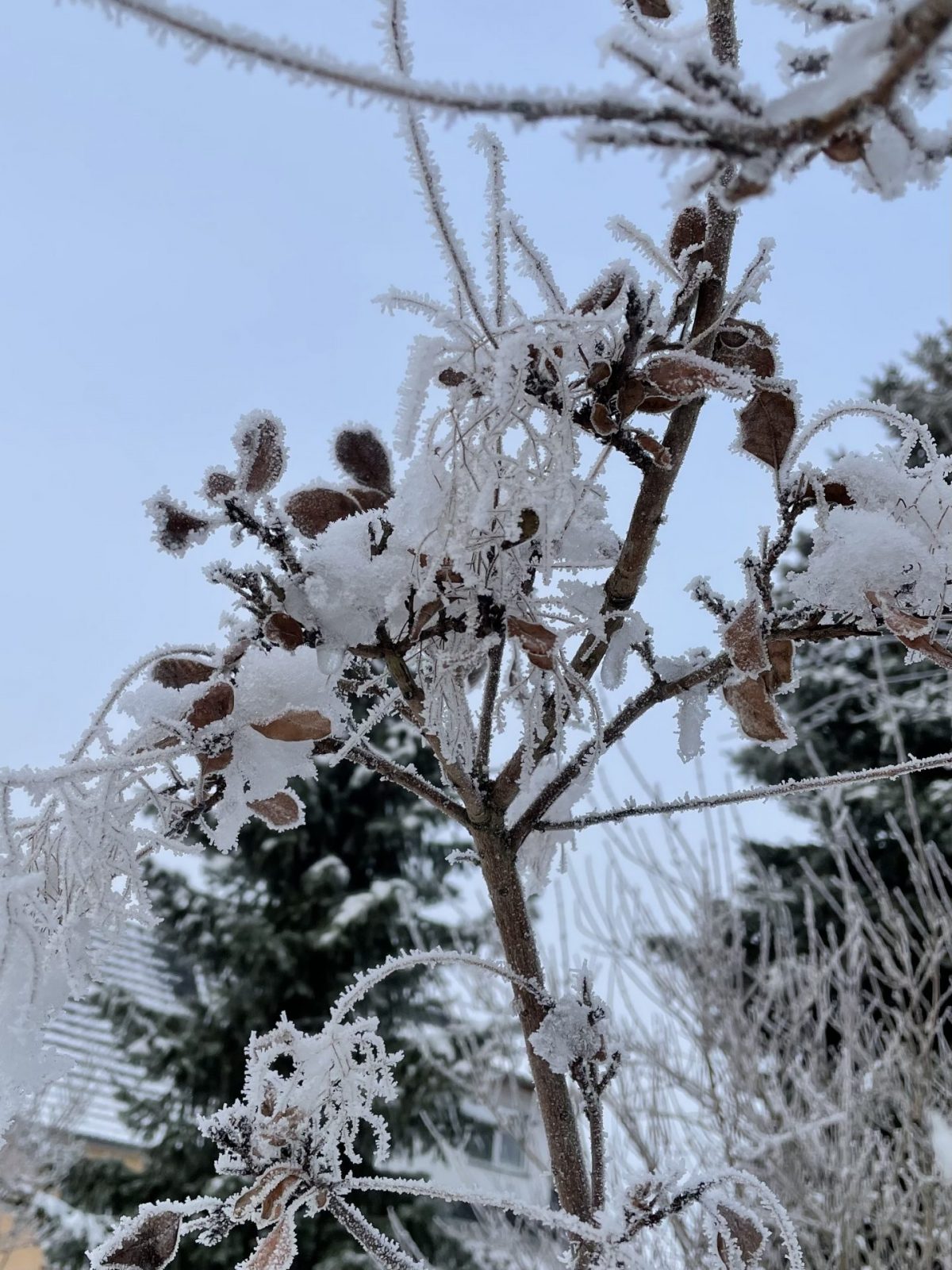 BD08F1F3-72E7-41AB-91E7-80BE77267B20