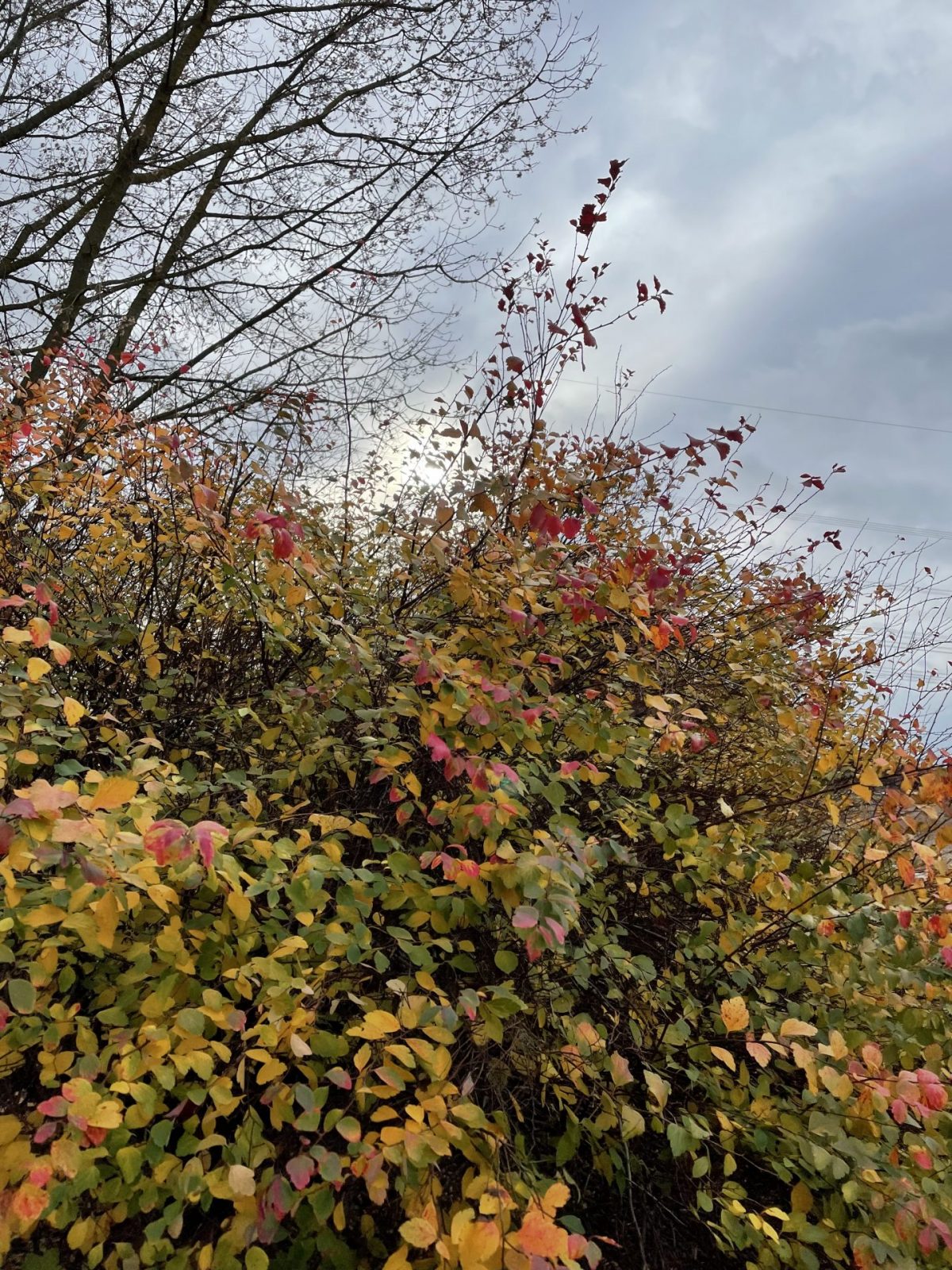 BD103F73-7964-4119-8BEB-EE08E7A4E5CE