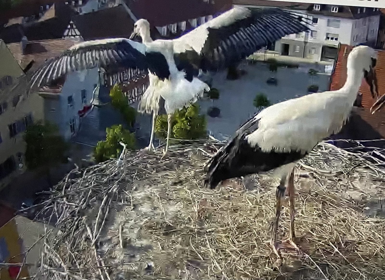 BDB8A0D3-CF7E-43F1-A528-A12CC12E0B93