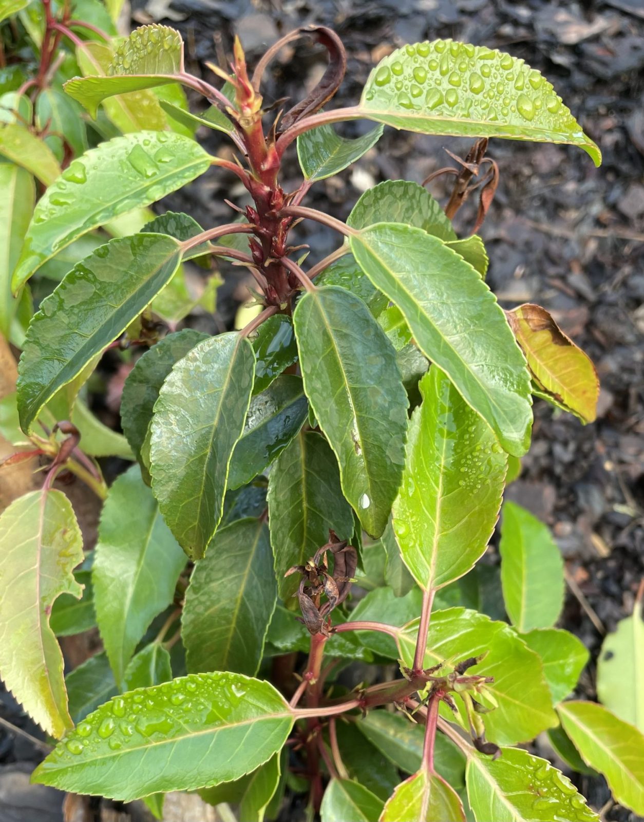 BE24B511-206E-4EF5-B253-B8CEE76C8B3C