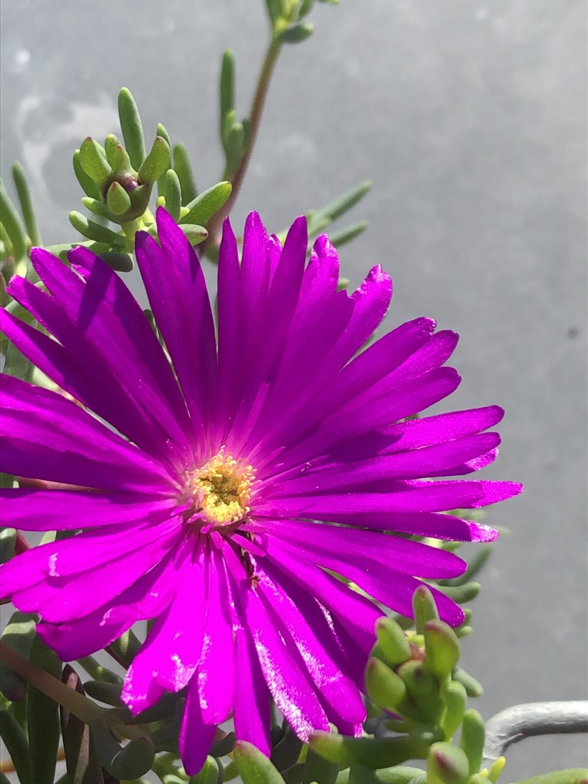 BE2AE2BE-ED50-424A-B88E-69FD8250FF22