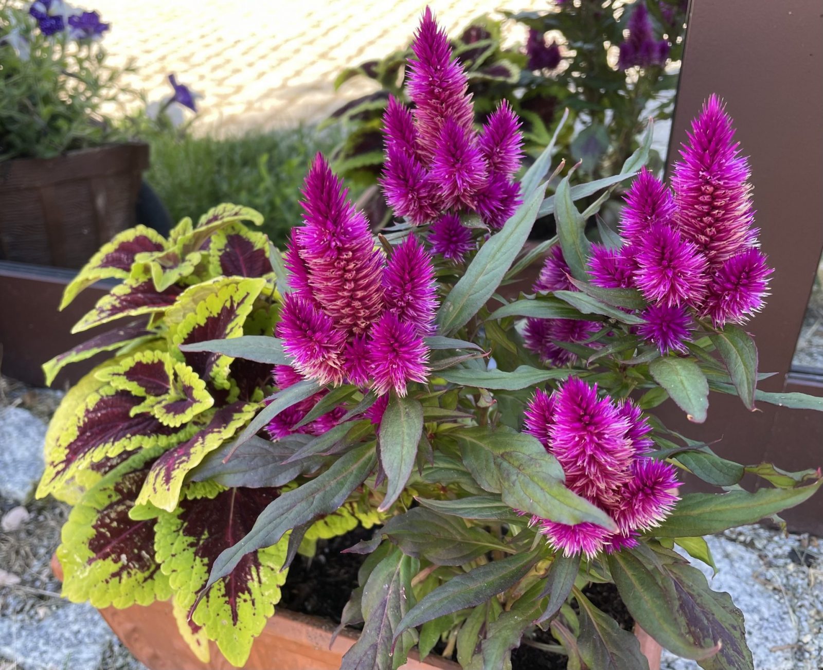 BE64BDD2-7E4F-454F-9629-5A9917529663