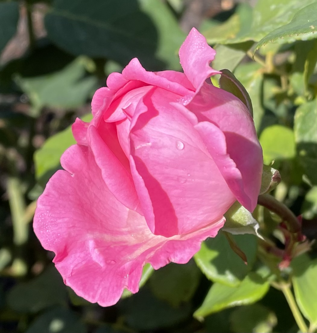 BF657A44-6354-4930-9AB9-DFE31C5F6AEA